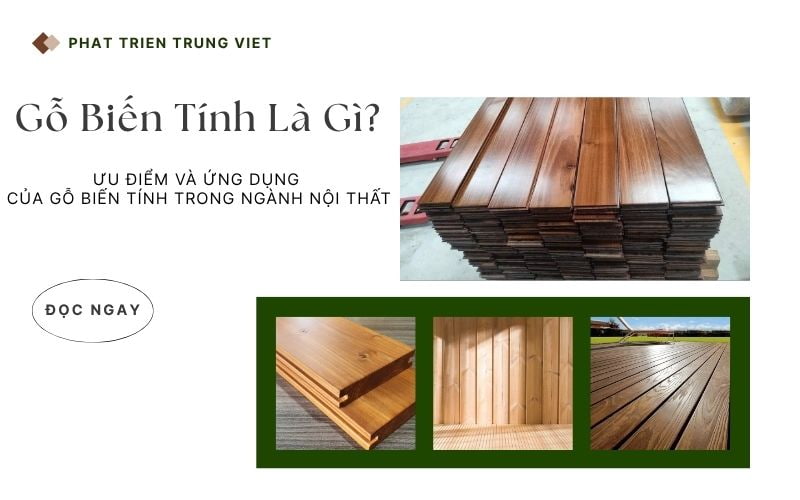Gỗ Biến Tính Là Gì? Đơn Vị Cung Cấp Gỗ Biến Tính Chất Lượng Cao